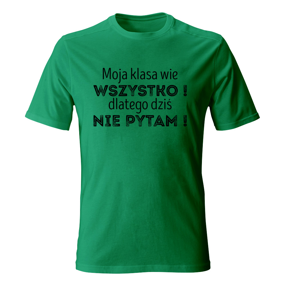 Koszulka męska Moja klasa wie wszystko, zielona