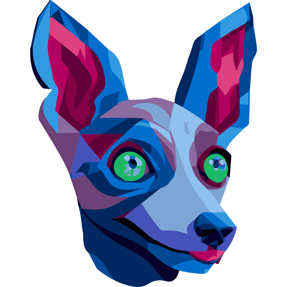 Kubek NAGI PIES PERUWIAŃSKI