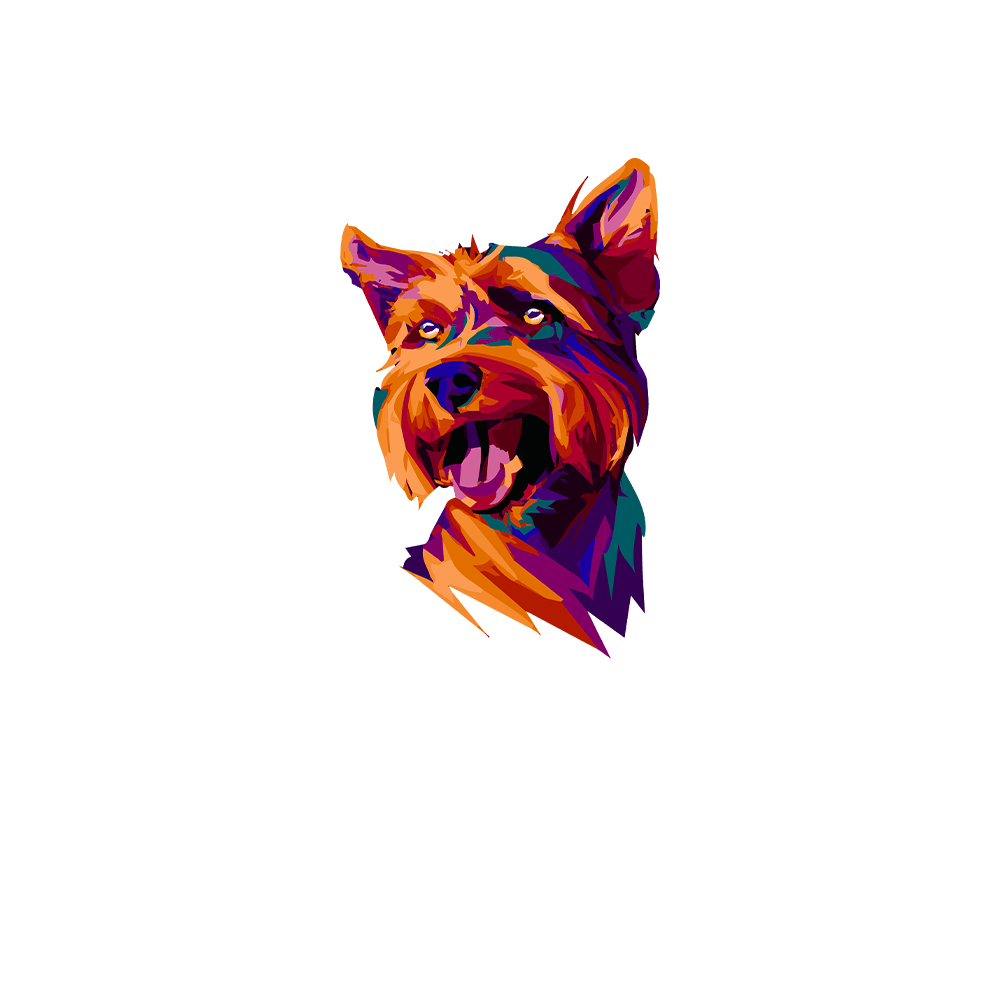 Australian Silky Terrier