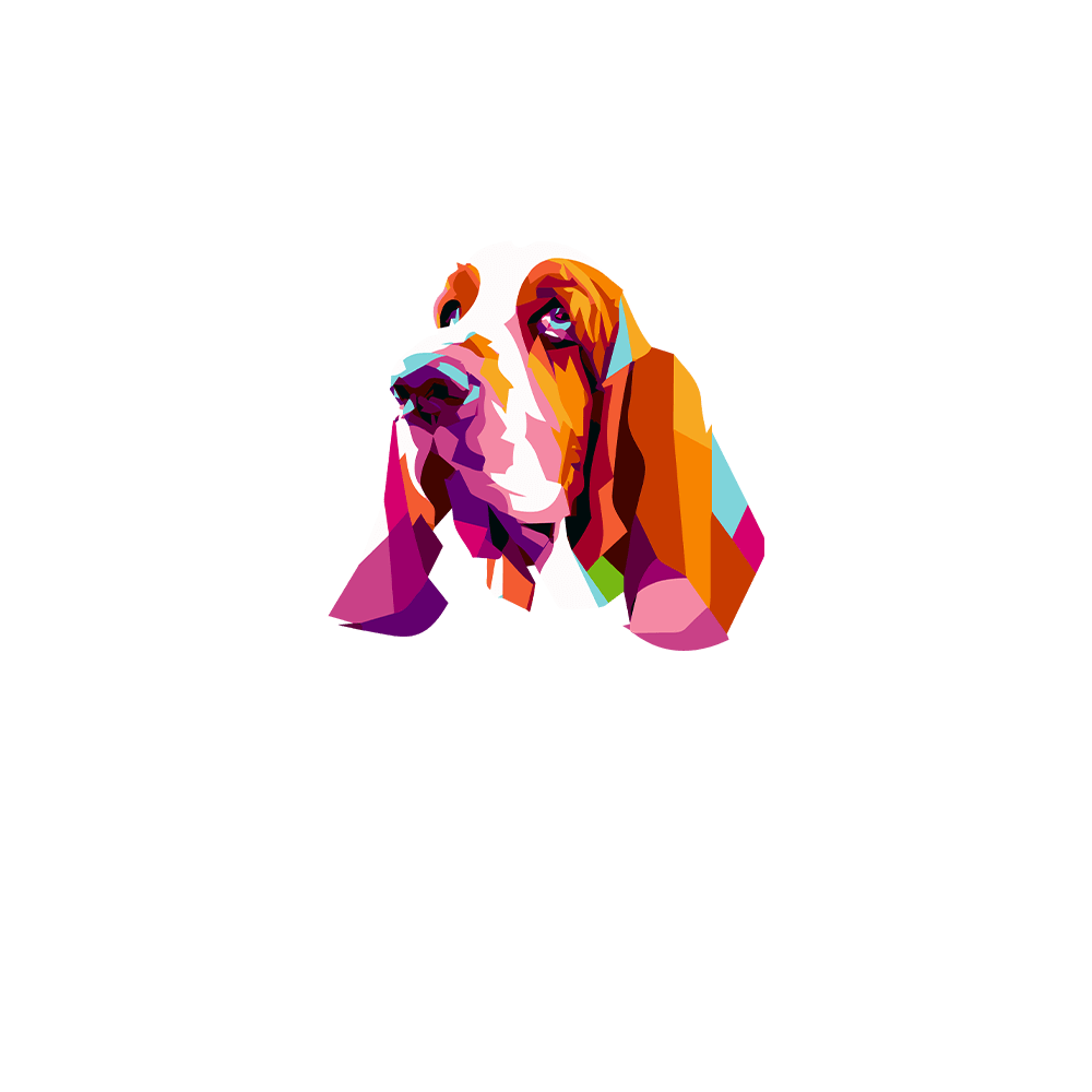Basset Hound