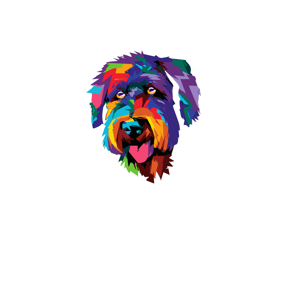 Bouvier des Flandres