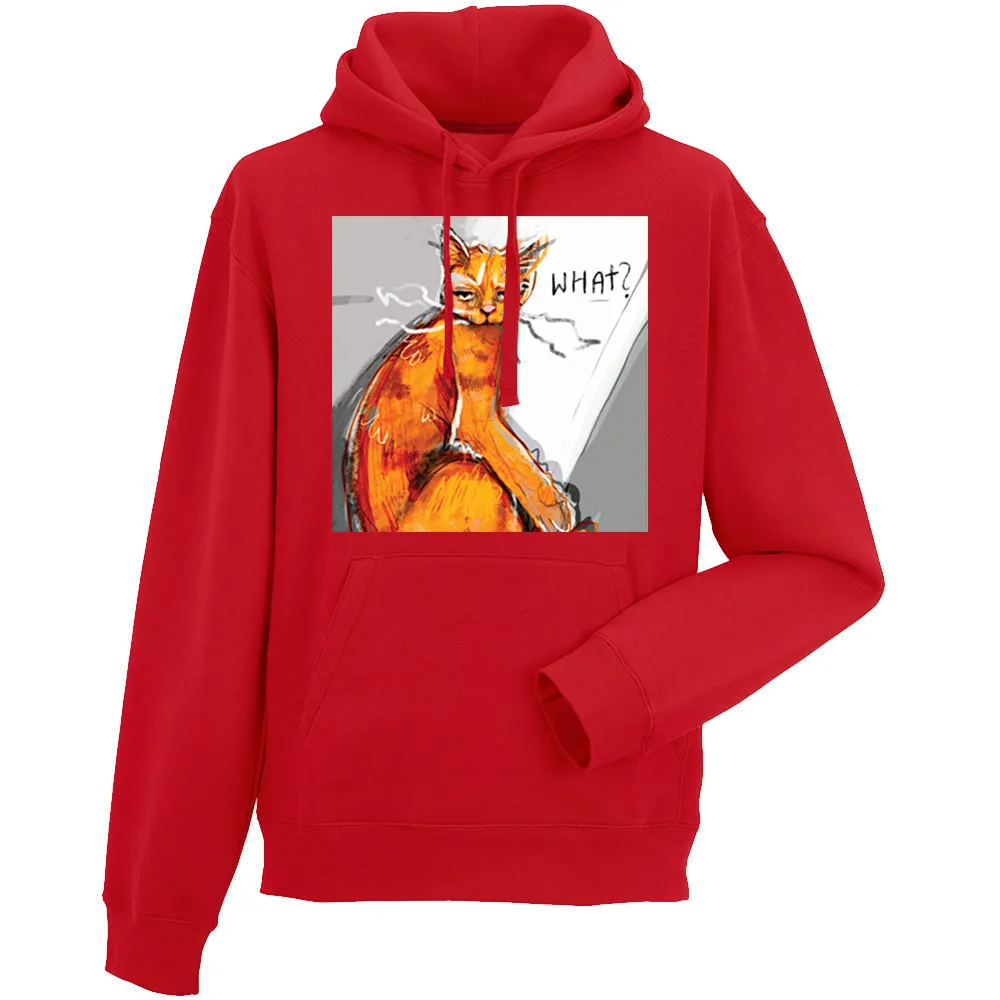 Bluza męska z kapturem DZIEŃ KOTA WHAT