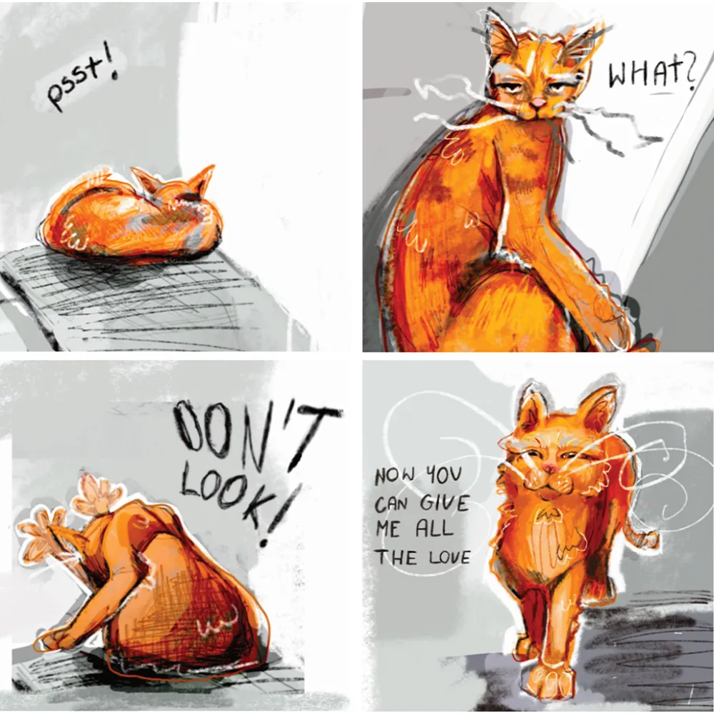 Koszulka męska DZIEŃ KOTA KOMIKS