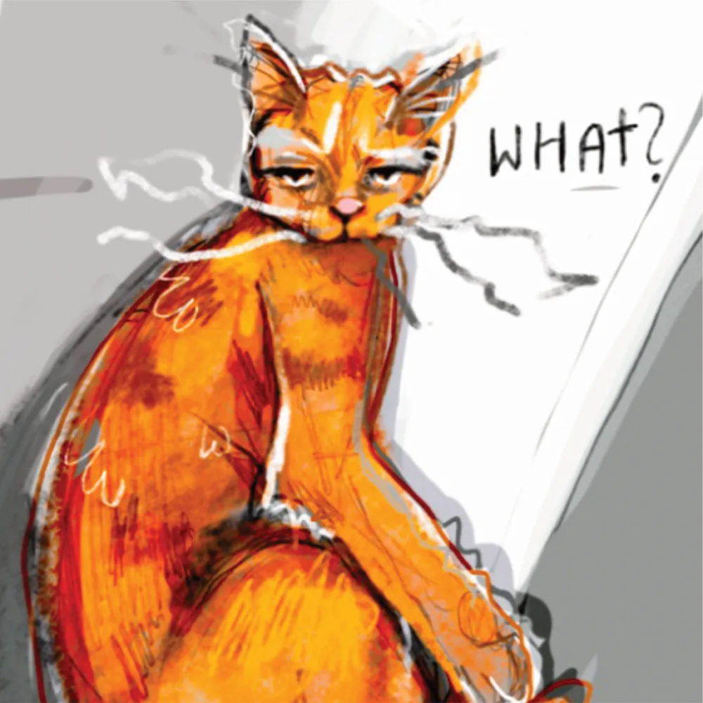 Bluza męska z kapturem DZIEŃ KOTA WHAT